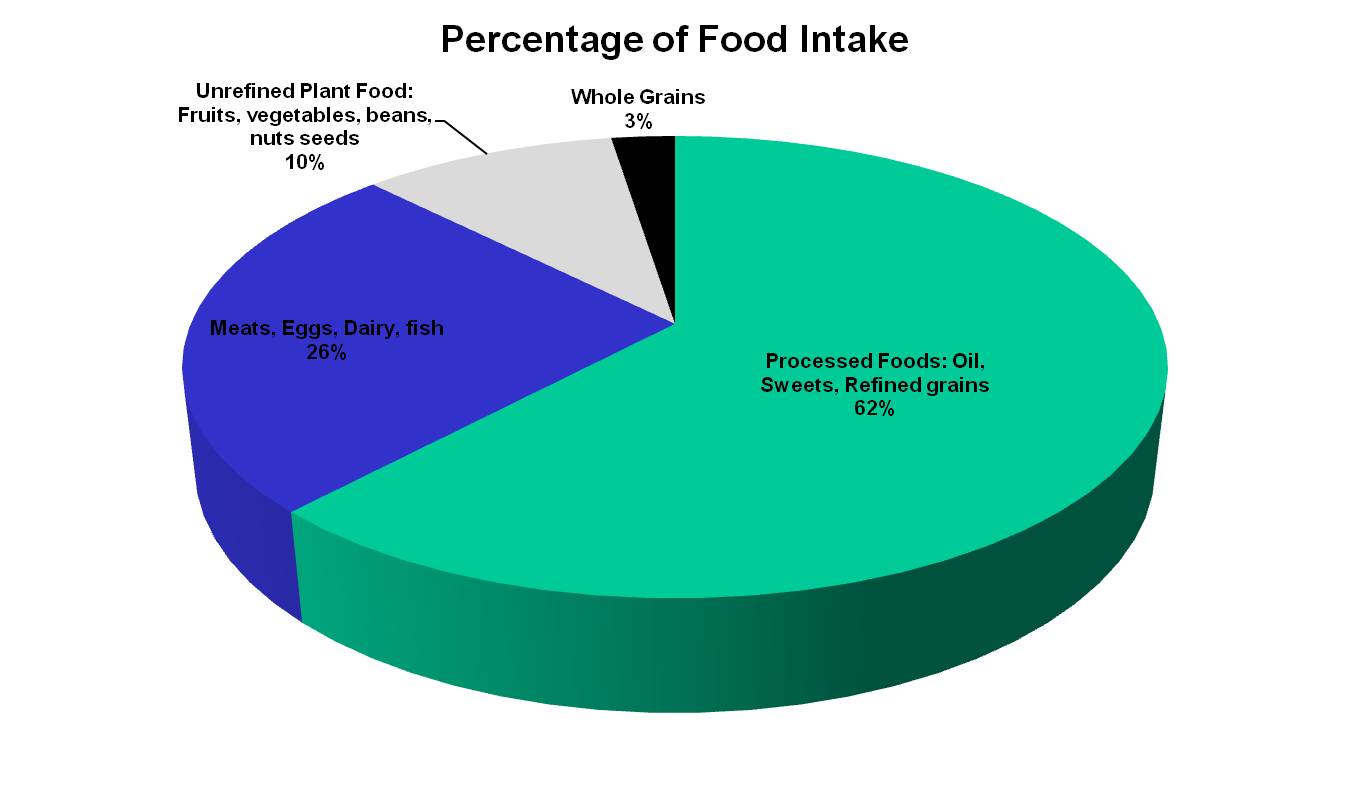 Pie Chart Daily Food Intake