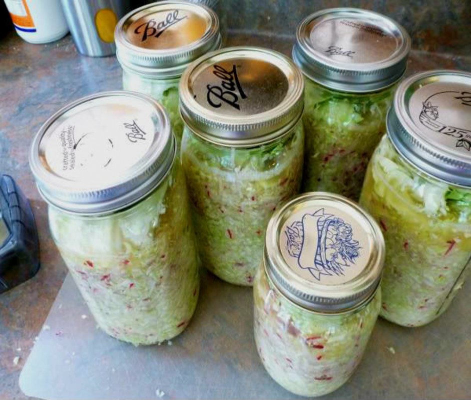 Fermented foods for a Healthy Gut!