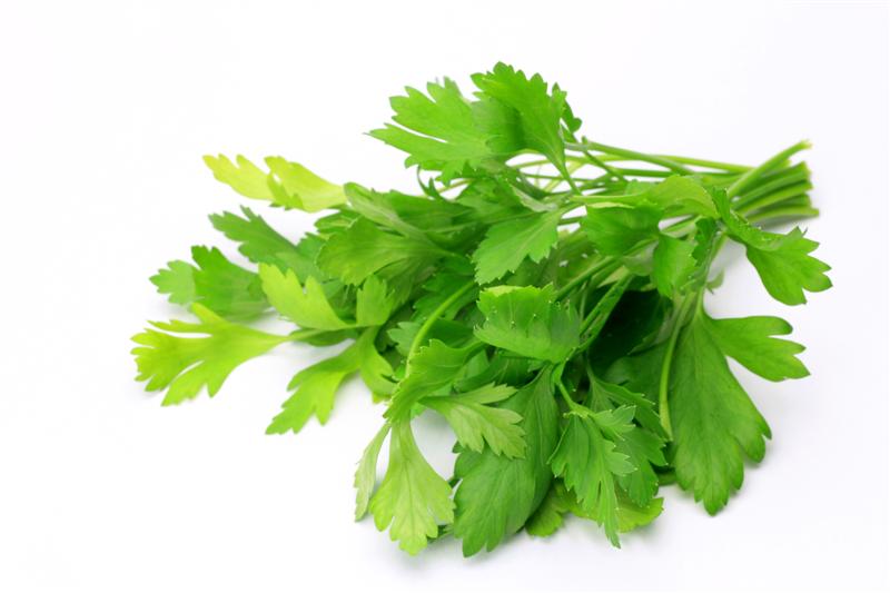 Parsley: a review of ethnopharmacology, phytochemistry and biological activities.