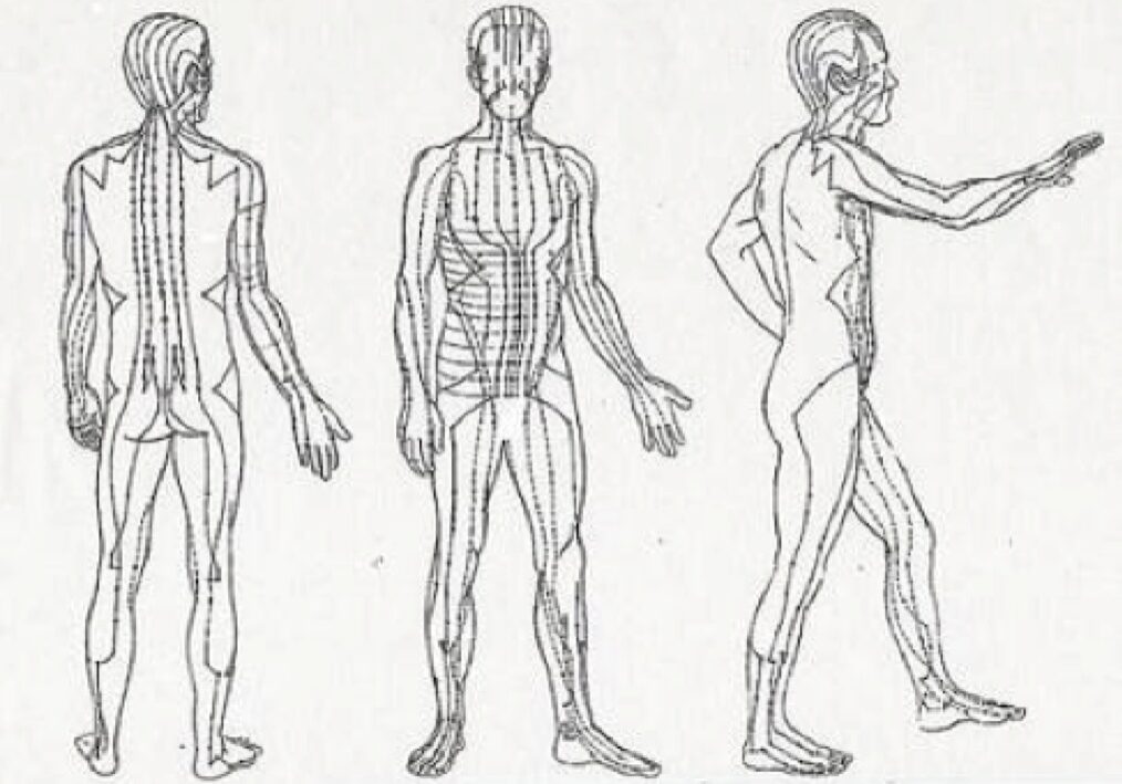 meridians