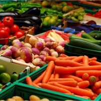 organic farming, organic fruits and vegetables